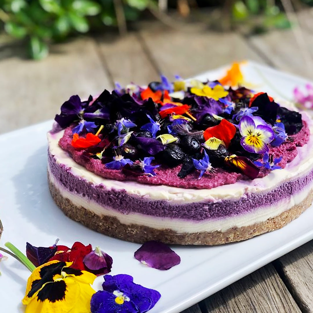 Raw Blackcurrant & Vanilla Cheesecake